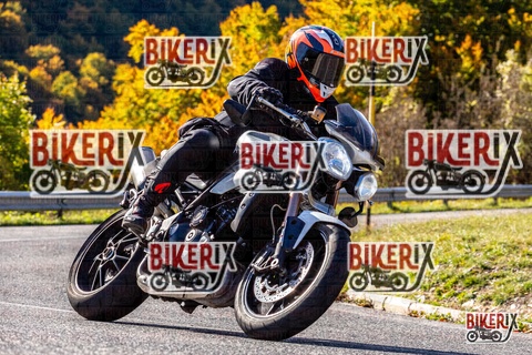 Forca d Acero 12-10-25 h10-38 0186