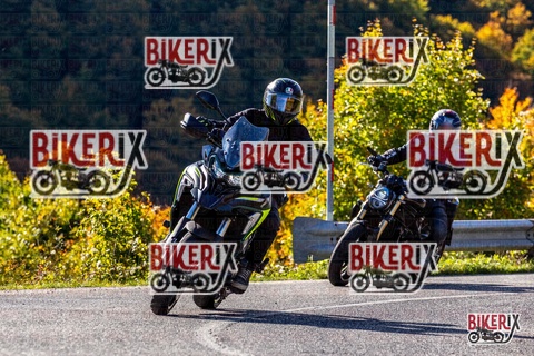 Forca d Acero 12-10-25 h10-38 0188