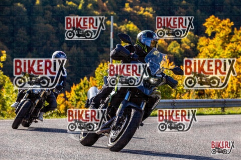 Forca d Acero 12-10-25 h10-38 0190