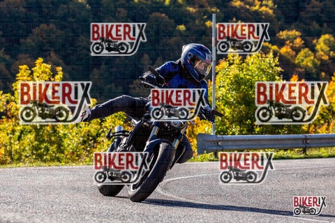 Forca d Acero 12-10-25 h10-38 0191