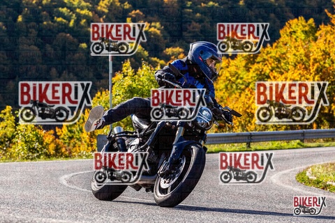 Forca d Acero 12-10-25 h10-38 0192