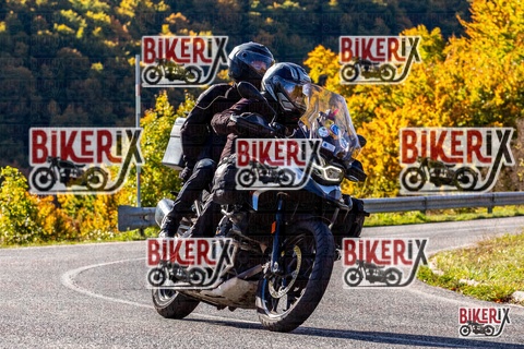 Forca d Acero 12-10-25 h10-40 0205