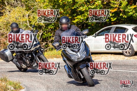 Forca d Acero 12-10-25 h10-55 0301