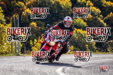 Forca d Acero 12-10-25 h11-07 0391