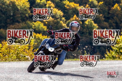 Forca d Acero 12-10-25 h11-10 0410