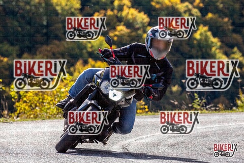 Forca d Acero 12-10-25 h11-10 0411