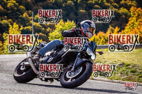 Forca d Acero 12-10-25 h11-10 0413