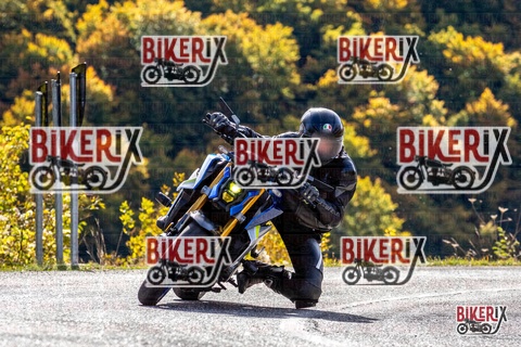 Forca d Acero 12-10-25 h11-16 0426