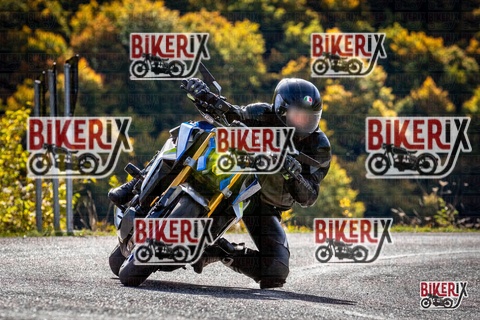 Forca d Acero 12-10-25 h11-16 0427