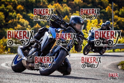 Forca d Acero 12-10-25 h11-16 0428