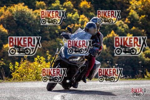 Forca d Acero 12-10-25 h11-16 0429