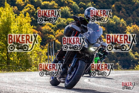 Forca d Acero 12-10-25 h11-16 0436