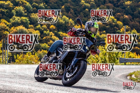 Forca d Acero 12-10-25 h11-16 0440