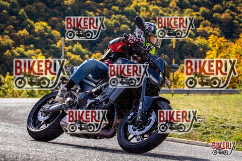 Forca d Acero 12-10-25 h11-16 0441