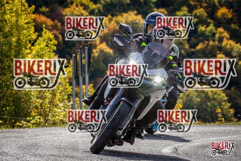 Forca d Acero 12-10-25 h11-16 0444