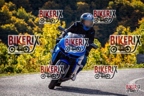 Forca d Acero 12-10-25 h11-25 0573