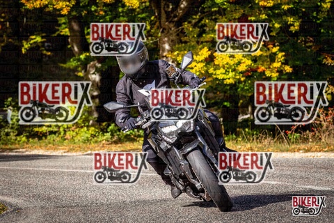 Forca d Acero 12-10-25 h11-31 0599