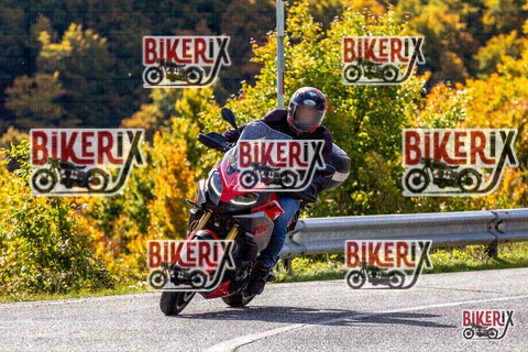 Forca d Acero 12-10-25 h11-32 0621