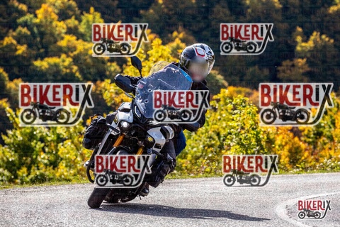 Forca d Acero 12-10-25 h11-38 0668