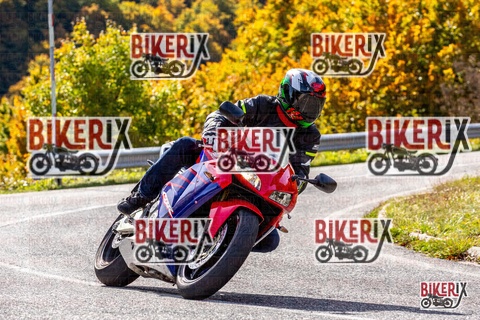 Forca d Acero 12-10-25 h11-41 0781