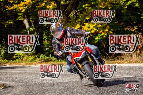 Forca d Acero 12-10-25 h11-44 0826