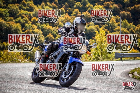 Forca d Acero 12-10-25 h12-03 1031