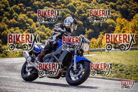 Forca d Acero 12-10-25 h12-03 1032