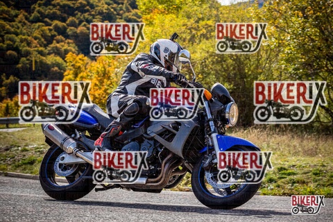 Forca d Acero 12-10-25 h12-03 1033