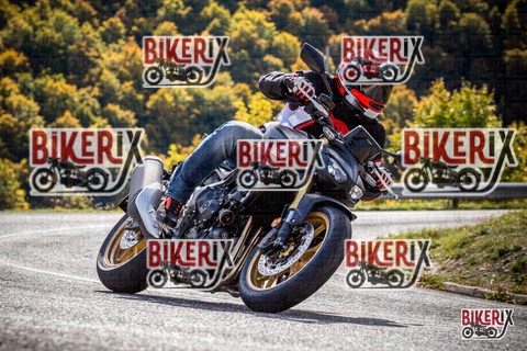 Forca d Acero 12-10-25 h12-04 1043