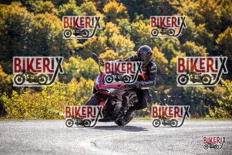 Forca d Acero 12-10-25 h12-04 1044