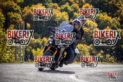 Forca d Acero 12-10-25 h12-05 1056