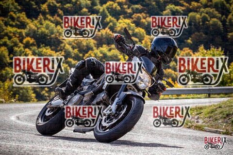 Forca d Acero 12-10-25 h12-05 1062