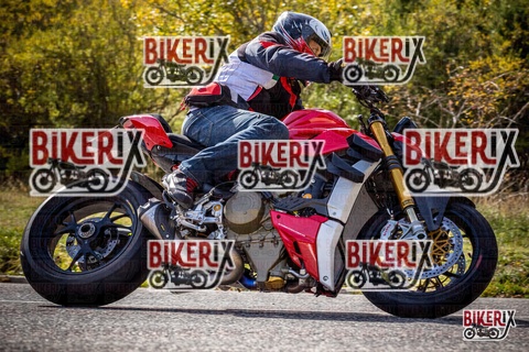 Forca d Acero 12-10-25 h12-06 1075