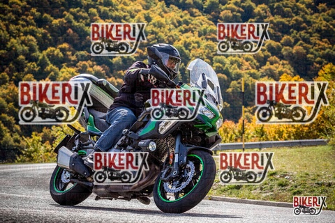 Forca d Acero 12-10-25 h12-08 1079