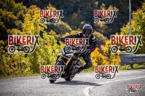 Forca d Acero 12-10-25 h12-11 1092