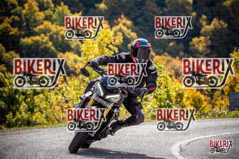 Forca d Acero 12-10-25 h12-11 1093