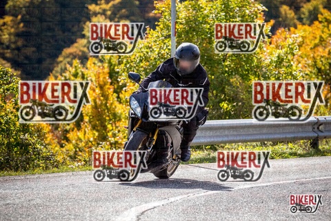 Forca d Acero 12-10-25 h12-13 1101