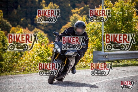 Forca d Acero 12-10-25 h12-13 1102