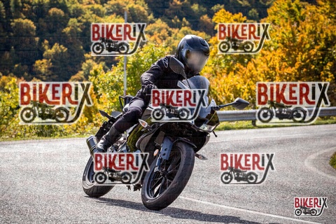 Forca d Acero 12-10-25 h12-14 1107