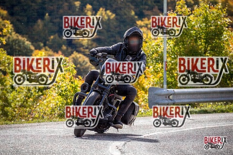 Forca d Acero 12-10-25 h12-17 1128