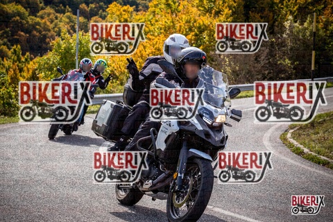 Forca d Acero 12-10-25 h12-23 1177