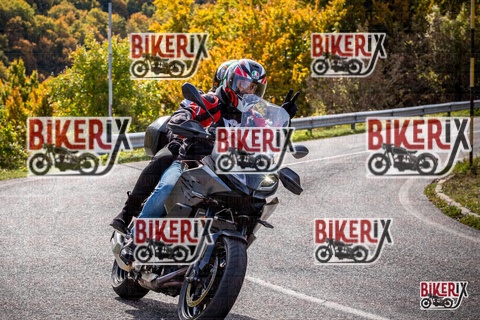 Forca d Acero 12-10-25 h12-23 1179