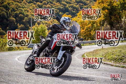 Forca d Acero 12-10-25 h12-26 1203