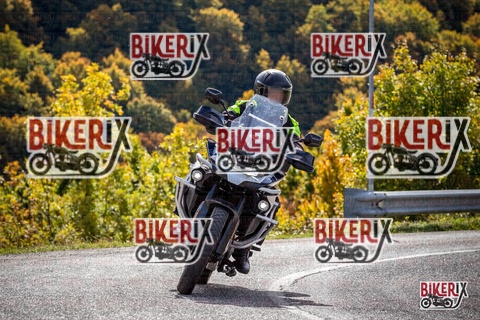 Forca d Acero 12-10-25 h12-26 1206