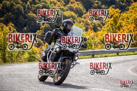 Forca d Acero 12-10-25 h12-26 1208