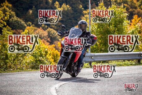 Forca d Acero 12-10-25 h12-27 1218