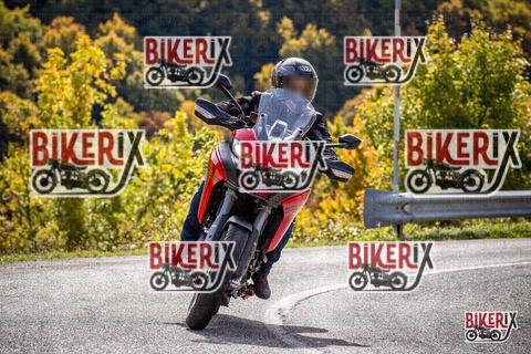 Forca d Acero 12-10-25 h12-27 1220