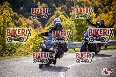 Forca d Acero 12-10-25 h12-28 1239