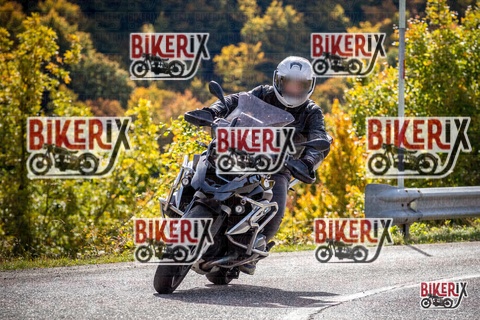 Forca d Acero 12-10-25 h12-29 1263