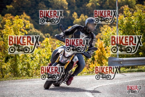 Forca d Acero 12-10-25 h12-29 1267